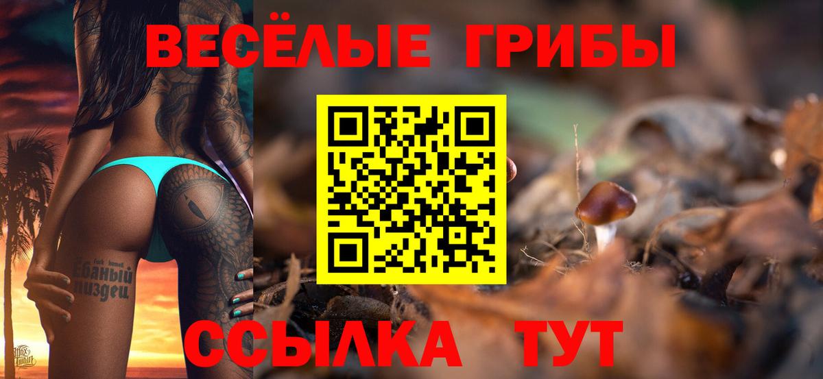 Гай  Псилоцибиновые грибы ЛСД  Вход с VPN  Галлюциногенные грибы прущие грибы 